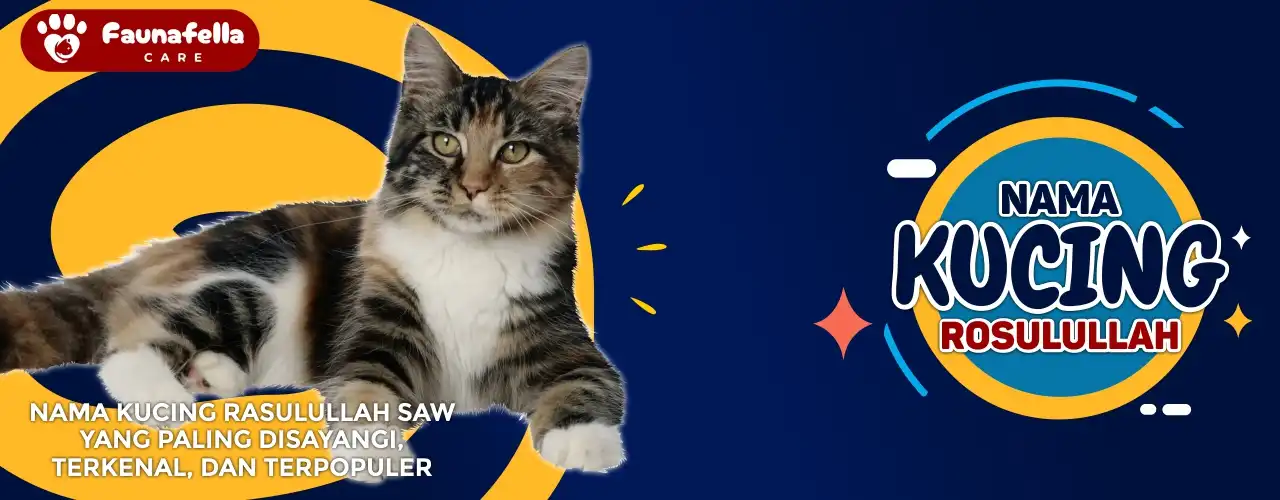 Nama Kucing Rasulullah