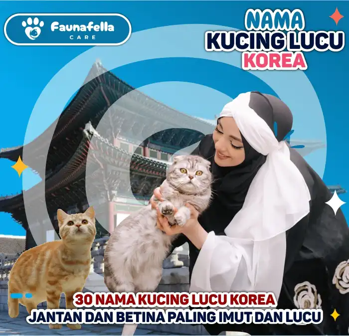 Nama Kucing Terkenal Korea