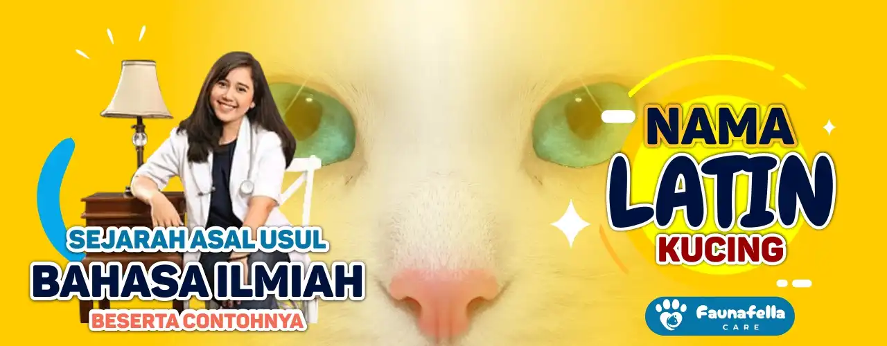 Nama Latin Kucing