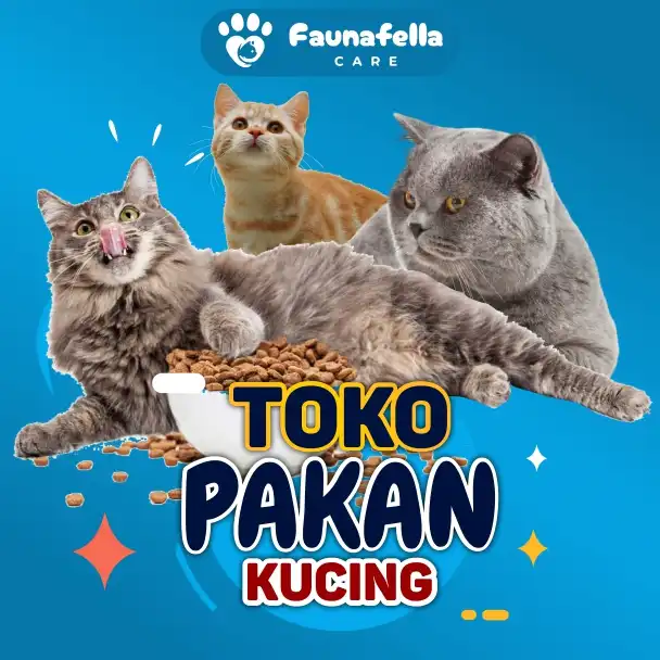 Petshop Jual Pakan Kucing