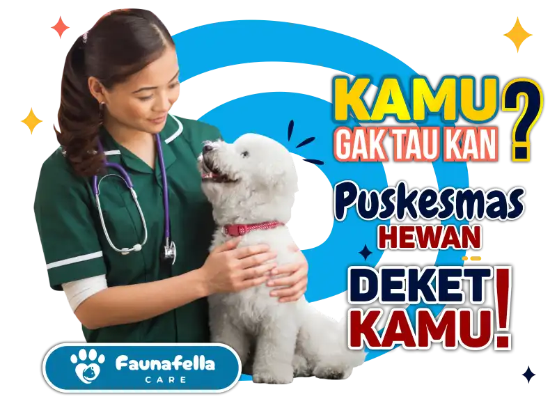 Pusat Kesehatan Hewan Terdekat