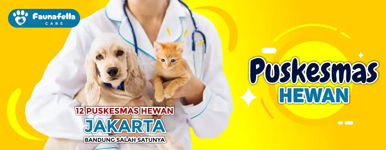 Puskesmas Hewan Terdekat