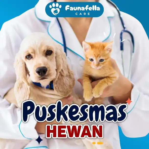 Puskesmas Kucing Anjing