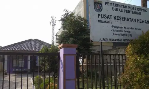 Puskeswan Depok