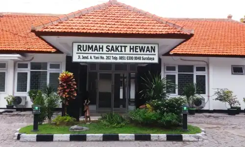 Rumah Sakit Hewan Gayungan