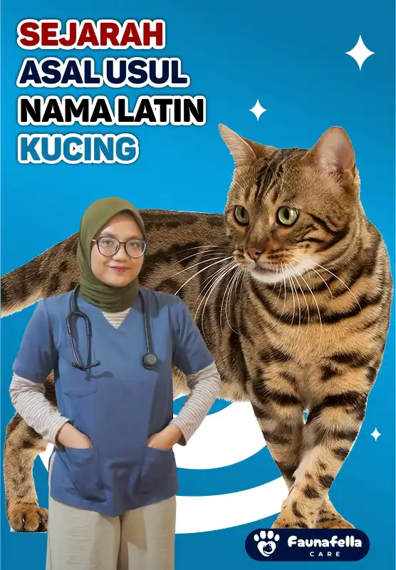 Sejarah Nama Kucing
