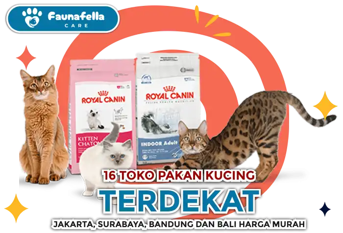 Toko Pakan Kucing Terdekat Jakarta