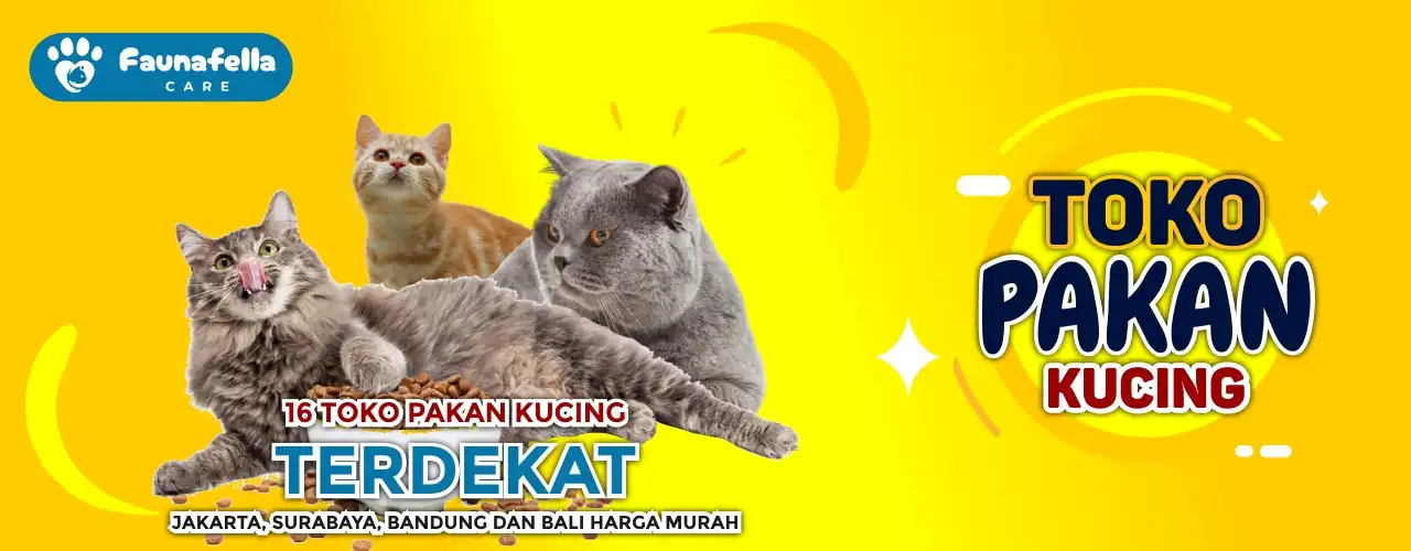 Toko Pakan Kucing Terdekat