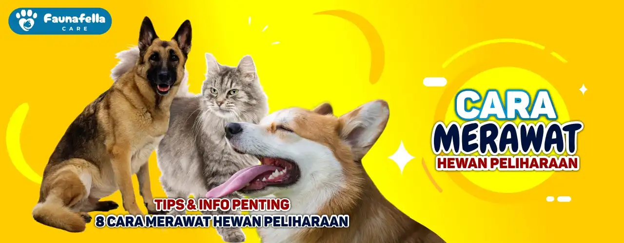 Cara Merawat Hewan Peliharaan