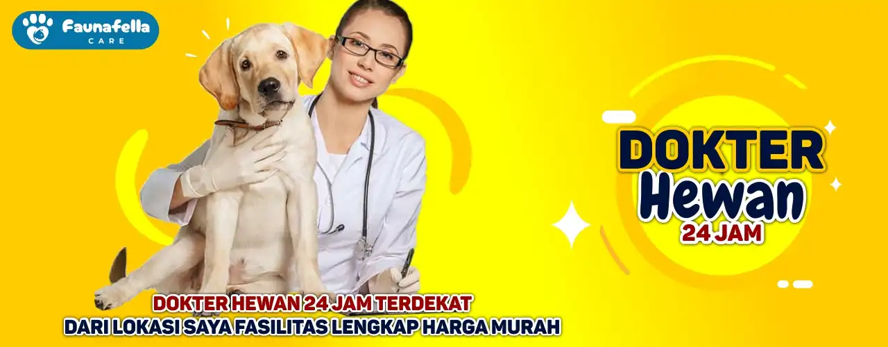 Dokter Hewan 24 Jam