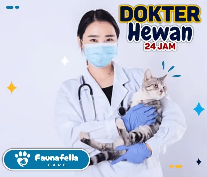 Dokter Hewan Buka 24 Jam