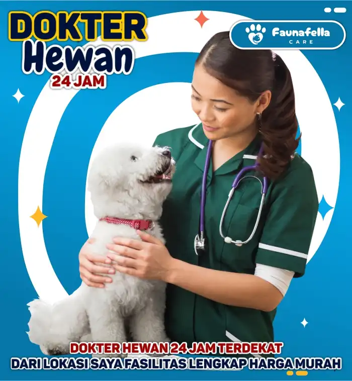 Dokter Hewan Terdekat