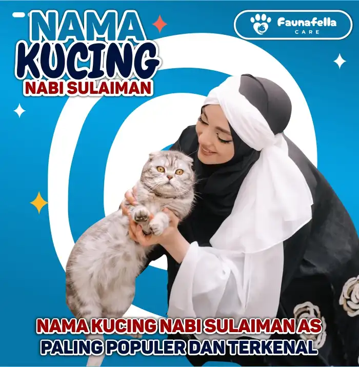 Kucing Nabi Sulaiman