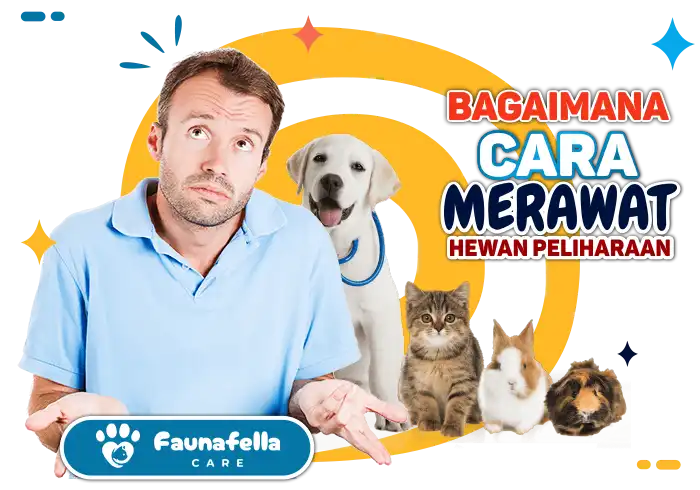Merawat Hewan Kesayangan