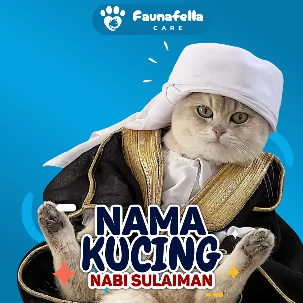 Nabi Sulaiman Pecinta Kucing
