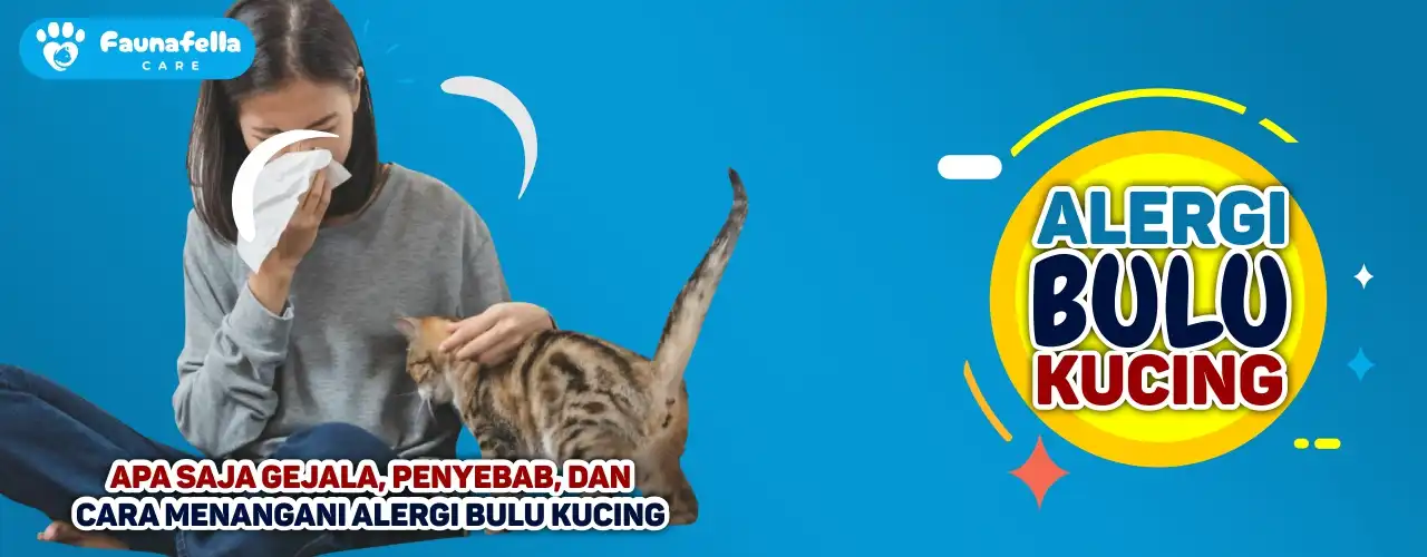 Alergi Bulu Kucing
