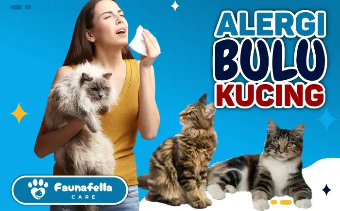 Gejala Alergi Bulu Kucing