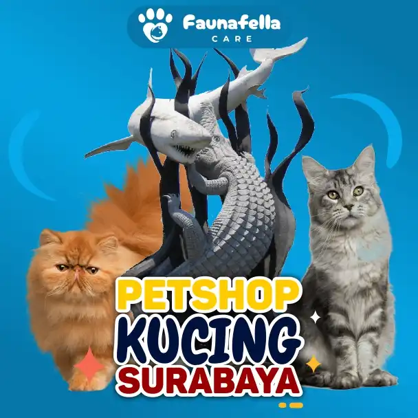 10 Petshop Surabaya Utara, Barat, Timur, Terdekat Buka 24 Jam Fasilitas Terlengkap Harga Terjangkau
