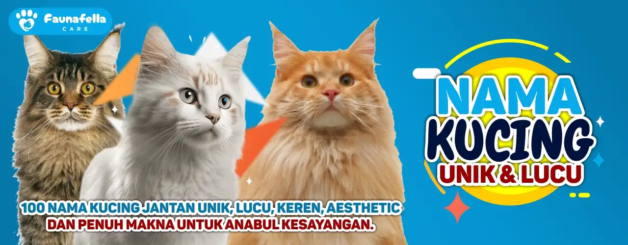 100 Nama Kucing Jantan Unik Lucu Keren Aesthetic dan Penuh Makna untuk Anabul Kesayangan