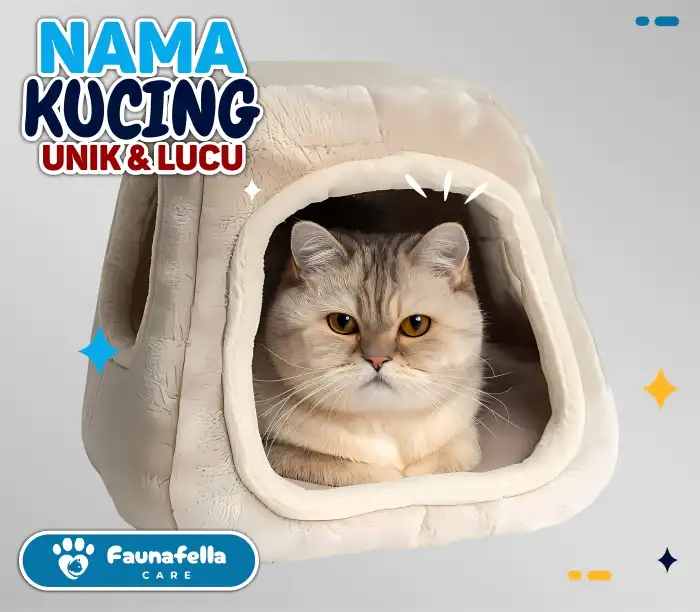 100 Nama Kucing Jantan Unik Lucu Keren Aesthetic dan Penuh Makna untuk Anabul Kesayangan