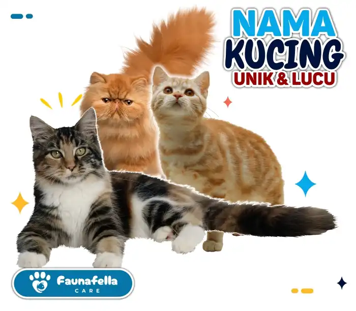 100 Nama Kucing Jantan Unik Lucu Keren Aesthetic dan Penuh Makna untuk Anabul Kesayangan