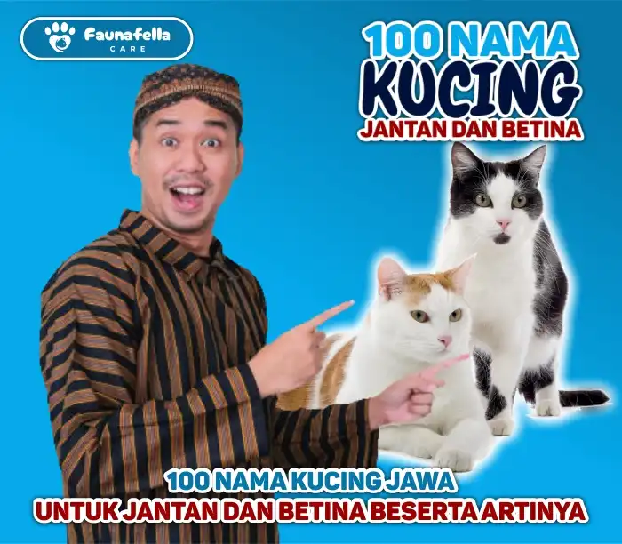 100 Nama Kucing Jawa untuk Jantan dan Betina Beserta Artinya
