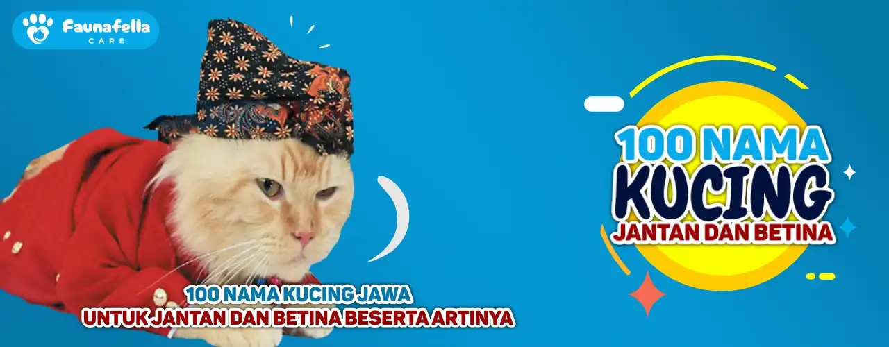 100 Nama Kucing Jawa untuk Jantan dan Betina Beserta Artinya