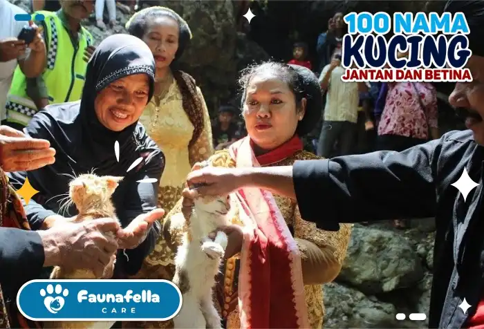 100 Nama Kucing Jawa untuk Jantan dan Betina Beserta Artinya