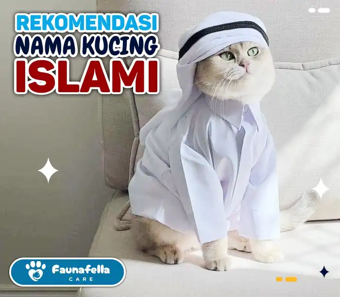 Nama Kucing Islami