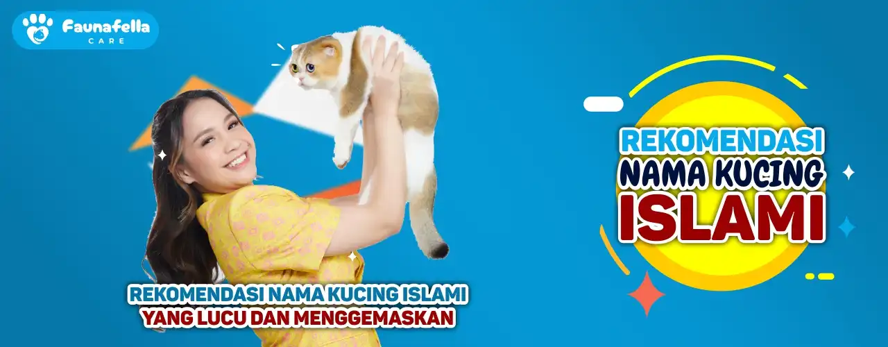 Rekomendasi Nama Kucing Islami yang Lucu dan Menggemaskan