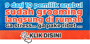 Layanan Pesan Grooming Faunafella