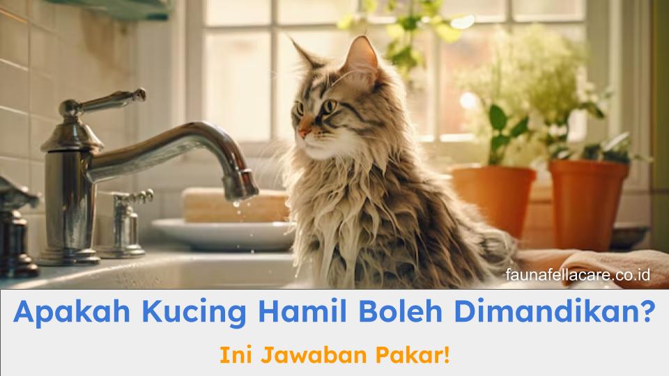 Apakah kucing hamil boleh dimandikan? Rekomendasi pakar bisa menjadi inspirasi.