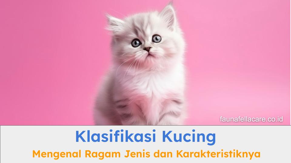 Klasifikasi kucing dapat membantu pemilik dan dokter memberikan treatment terbaik