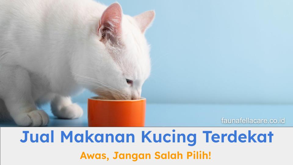 Makanan kucing harus sehat dan mengandung segala kebutuhan nutrisi kucing