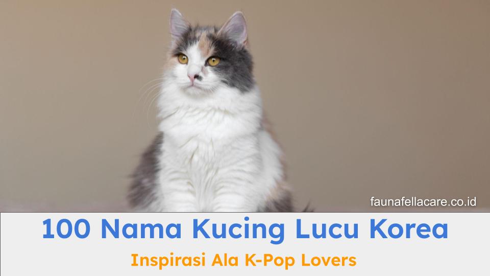 Nama kucing lucu Korea bisa menjadi pilihan untuk anabul kesayangan