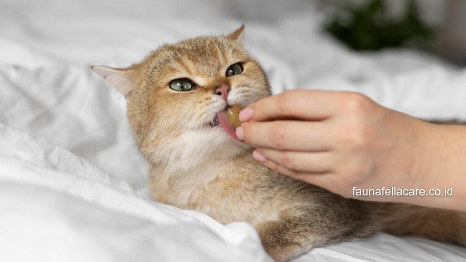 Cara mengobati kucing cacingan bisa dengan berbagai bahan alami.