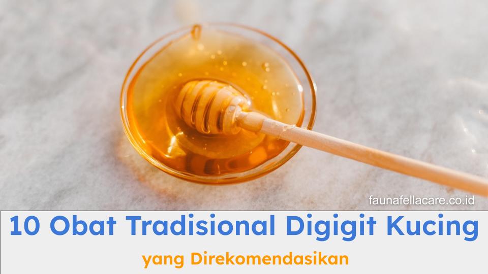 obat tradisional digigit kucing sangat efektif dan aman