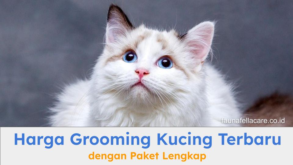 Harga grooming kucing sangat terjangkau membuat kucing lebih bersih dan sehat
