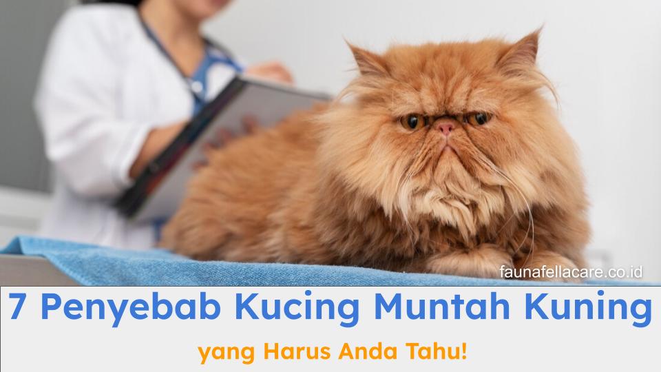 Penyebab kucing muntah kuning harus segera Anda ketahui agar kucing cepat sembuh.