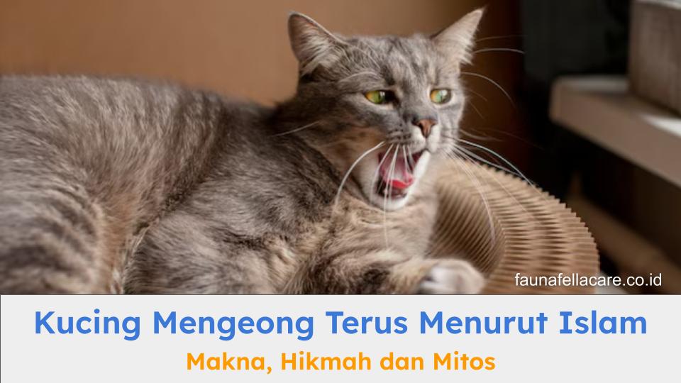 Kucing mengeong terus dalam Islam bisa berarti berbagai hal, tentu bukan mitos.