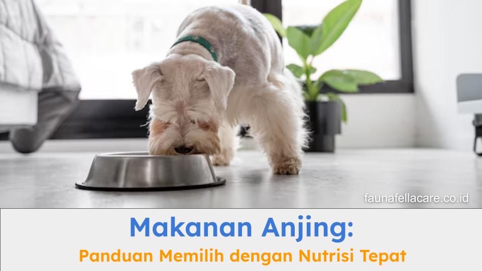 Makanan anjing baik olahan maupun kemasan harus dipilih dengan baik dan benar.