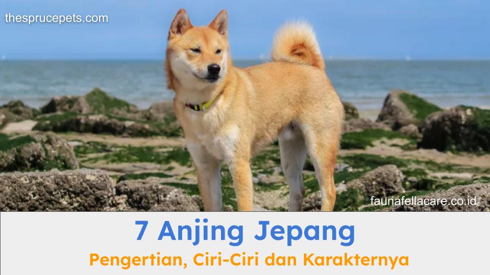 Anjing Jepang terdiri dari berbagai ras asli yang sudah diakui, seperti Hokkaido.
