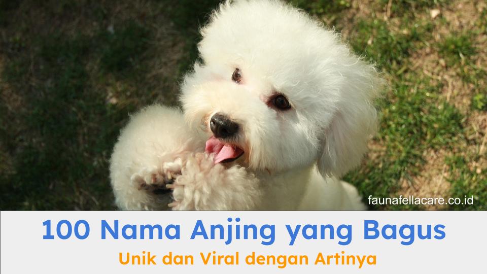 Nama anjing yang bagus selalu menjadi pilihan banyak pemilik anjing karena beragam alasan.