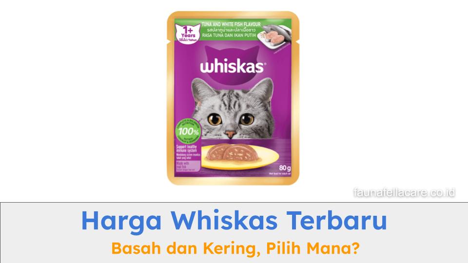 Harga Whiskas terbaru bisa menjadi acuan dalam memilih mana yang paling tepat untuk anabul.