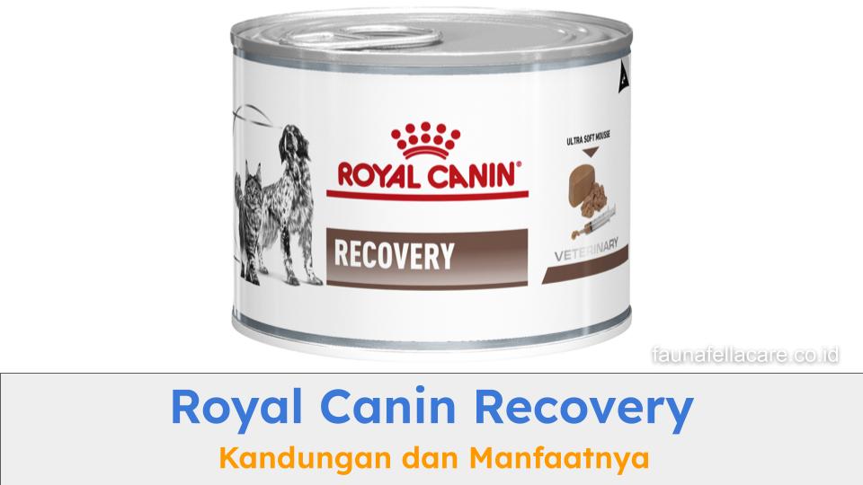 Royal Canin Recovery memiliki kandungan atau komposisi yang baik untuk anabul dala kondisi tertentu.