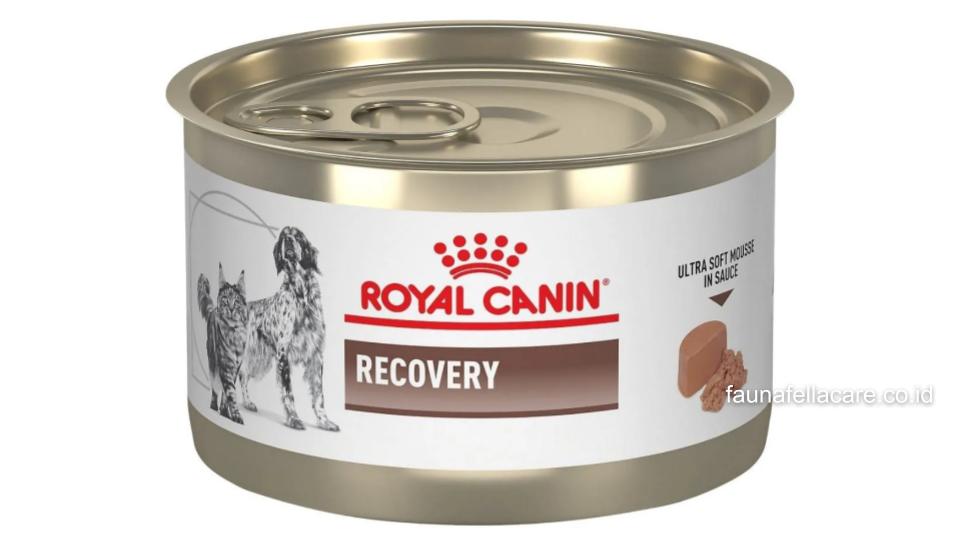 Royal Canin Recovery memiliki sejumlah kandungan seperti omega-3 dan vitamin serta mineral esensial yang dibutuhkan anabul.