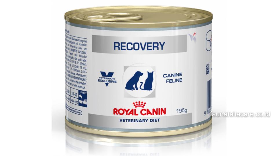 Royal Canin Recovery menawarkan berbagai keunggulan seperti energi yang padat walau porsi kecil dan mendukung berbagai kondisi medis.