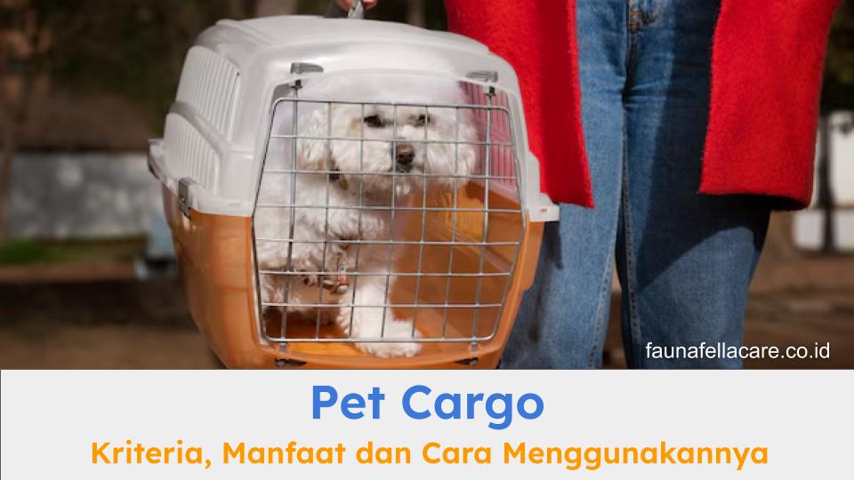 Pet cargo menawarkan berbagai manfaat yang baik untuk anabul baik kucing atau anjing.