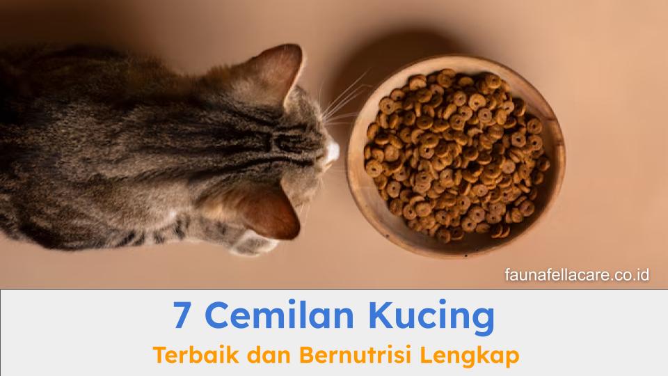 Cemilan kucing yang sehat dan bernutrisi sangat dibutuhkan oleh anabul untuk kesehatan tubuh dan bulunya.