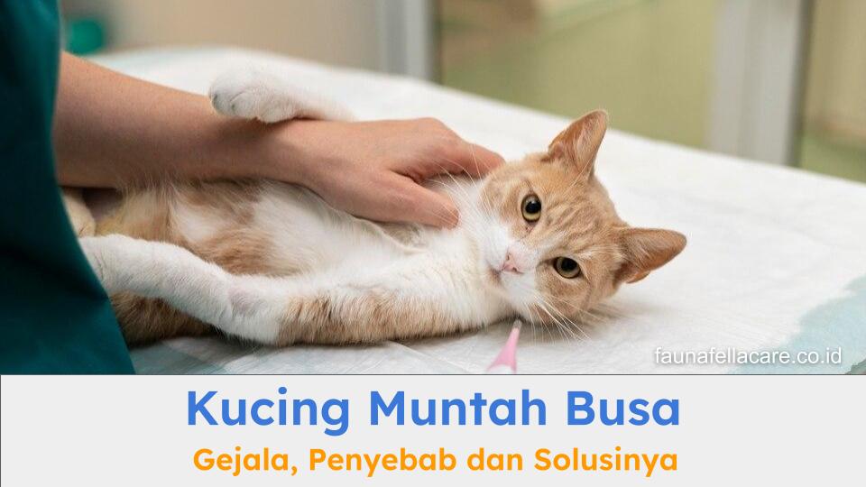 Kucing muntah busa bisa menjadi tanda dari penyakit serius yang harus segera ditangani dengan benar.